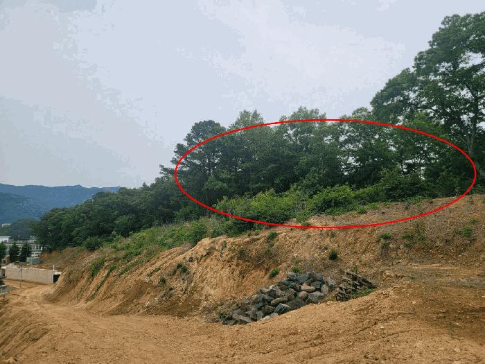 충청남도 공주시 반포면 봉곡리 산12-12 임야 경매 사진 12
