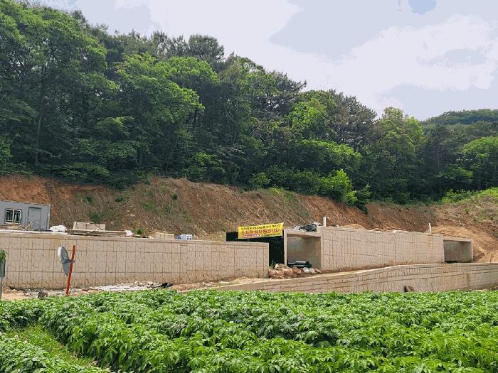 충청남도 공주시 반포면 봉곡리 산12-12 임야 경매 사진 14