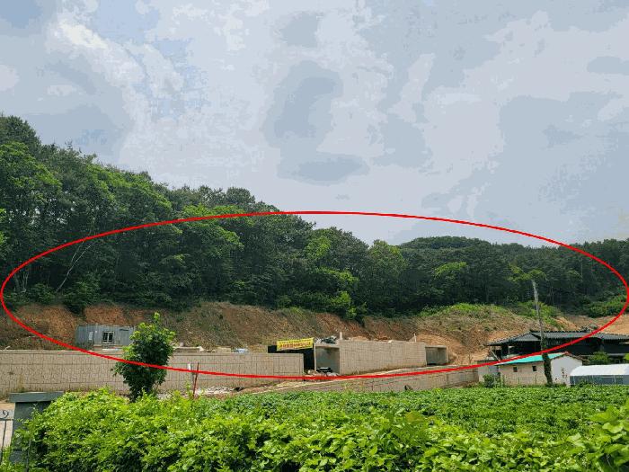 충청남도 공주시 반포면 봉곡리 산12-12 임야 경매 사진 3
