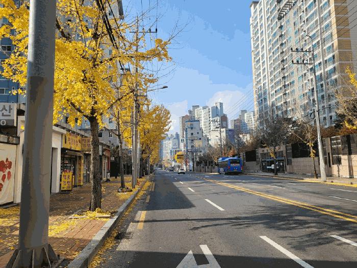 대구광역시 달서구 월성동 1329 태왕아너스베스트 102동 13층1308호 아파트 경매 사진 12