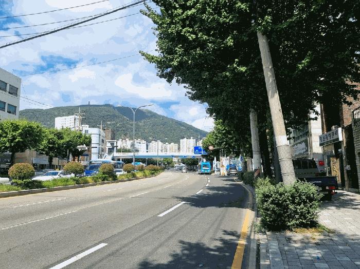 부산광역시 서구 동대신동3가 432-11 주택 경매 사진 2