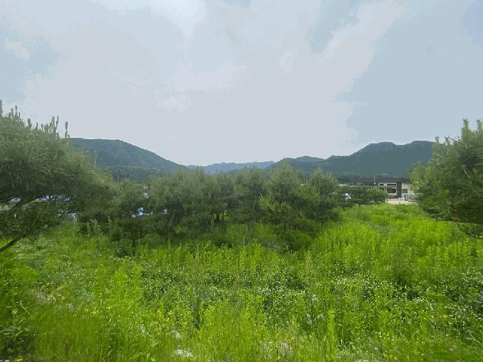 강원특별자치도 평창군 평창읍 도돈리 19-10 전 경매 사진 1
