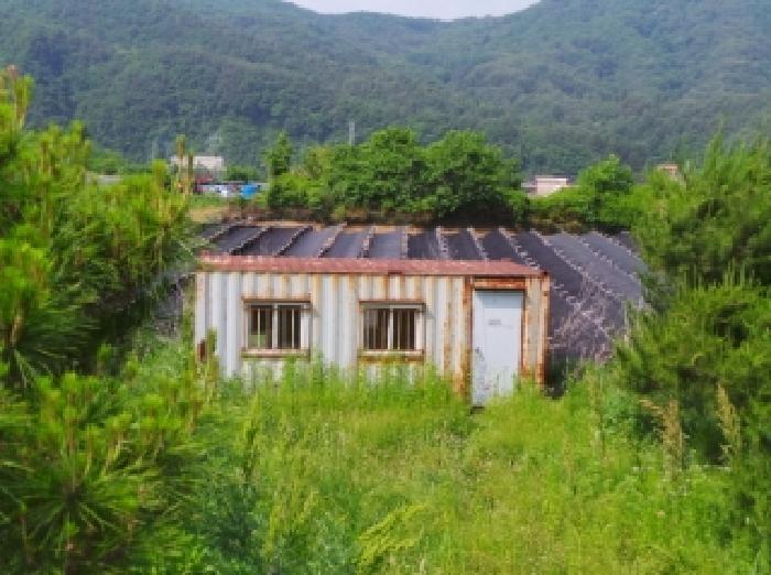 강원특별자치도 평창군 평창읍 도돈리 19-10 전 경매 사진 10