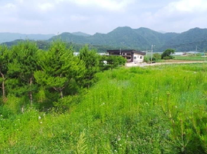 강원특별자치도 평창군 평창읍 도돈리 19-10 전 경매 사진 5