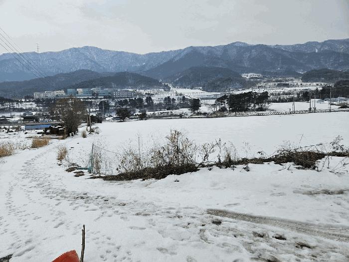 강원 평창군 전