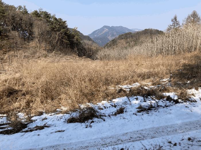 강원 평창군 전