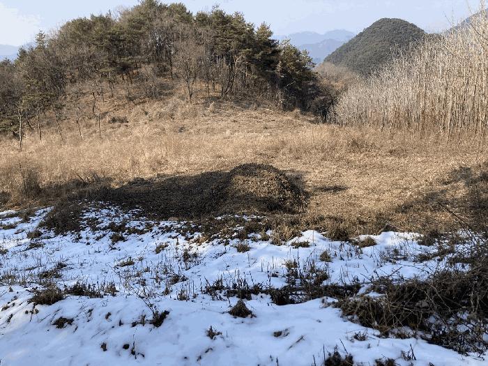 강원특별자치도 평창군 평창읍 종부리 8 전 경매 사진 2