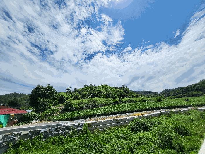 강원특별자치도 영월군 주천면 신일리 산412 임야 경매 사진 5