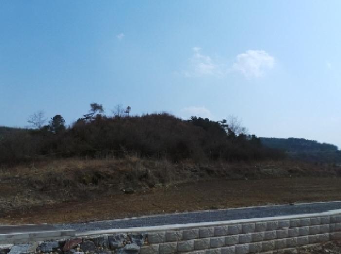 강원특별자치도 영월군 주천면 신일리 산412 임야 경매 사진 7