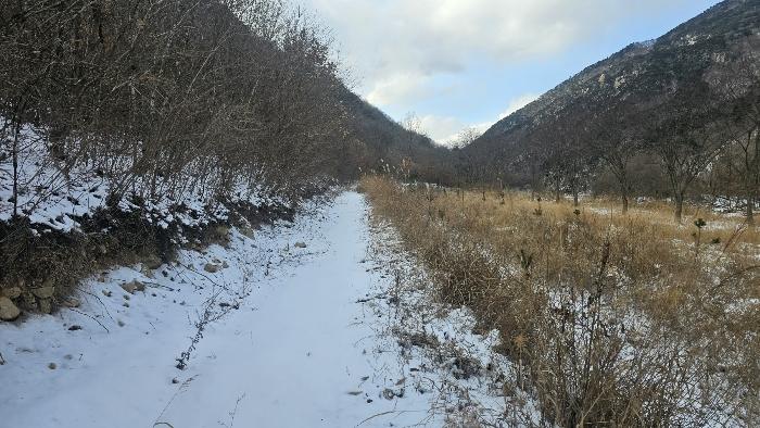 충청북도 옥천군 답