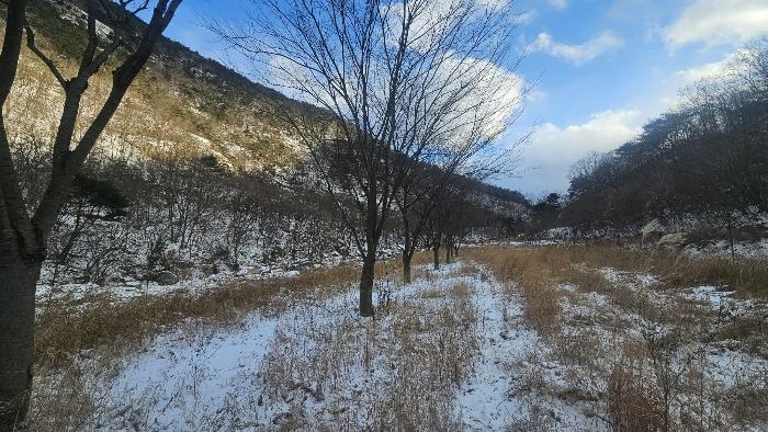 충청북도 옥천군 군서면 금산리 1 답 경매 사진 2