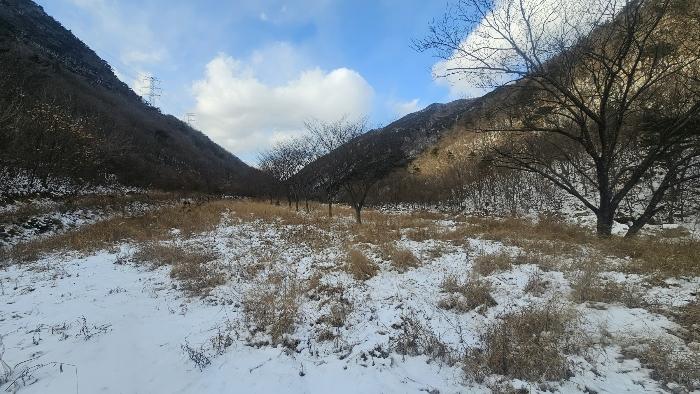 충청북도 옥천군 군서면 금산리 1 답 경매 사진 3