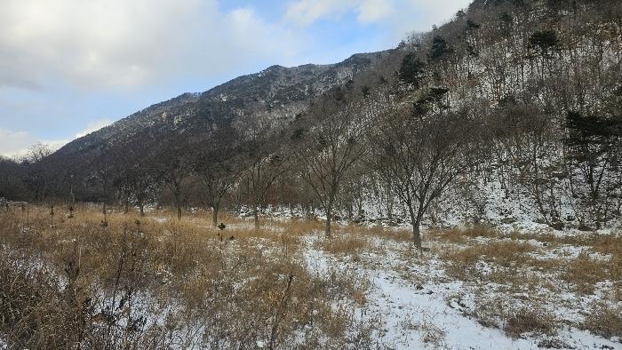 충청북도 옥천군 군서면 금산리 1 답 경매 사진 4