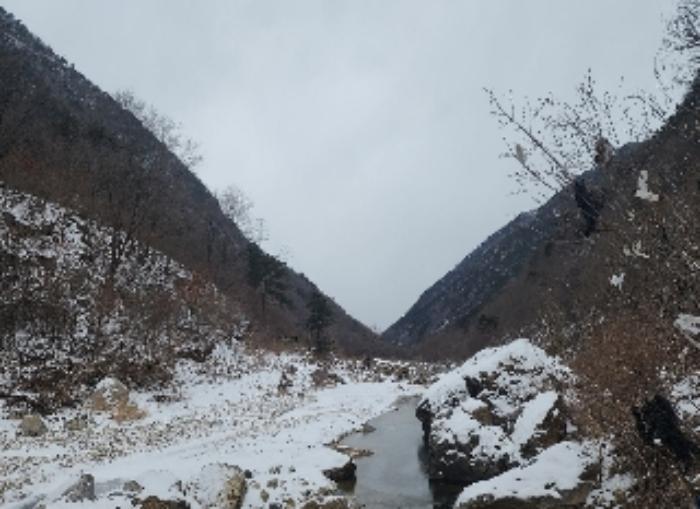 충청북도 옥천군 군서면 금산리 1 답 경매 사진 5