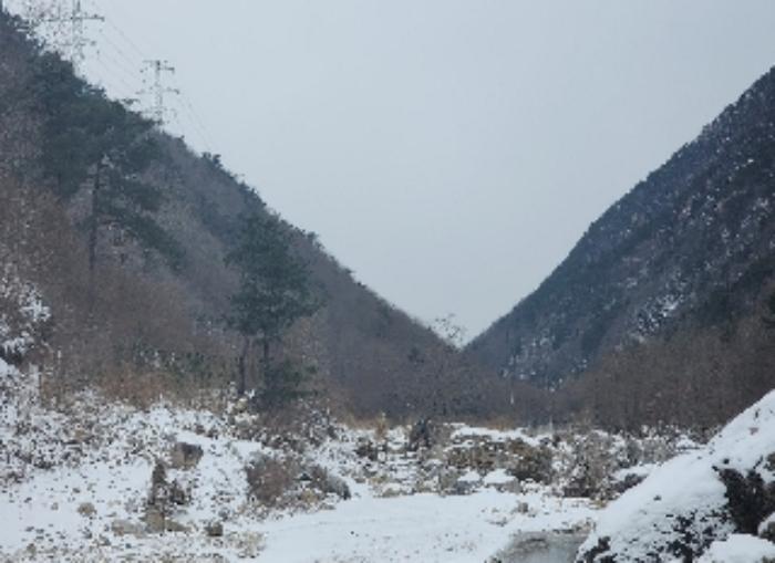 충청북도 옥천군 군서면 금산리 1 답 경매 사진 6
