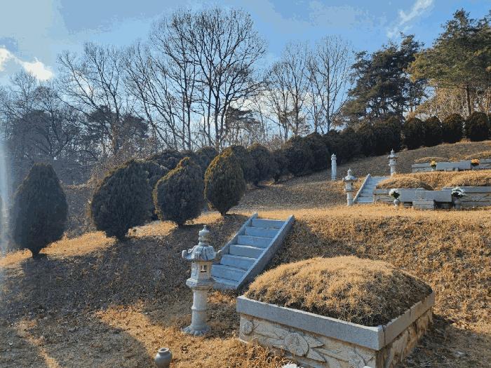 충청북도 옥천군 옥천읍 수북리 174-2 임야 경매 사진 2