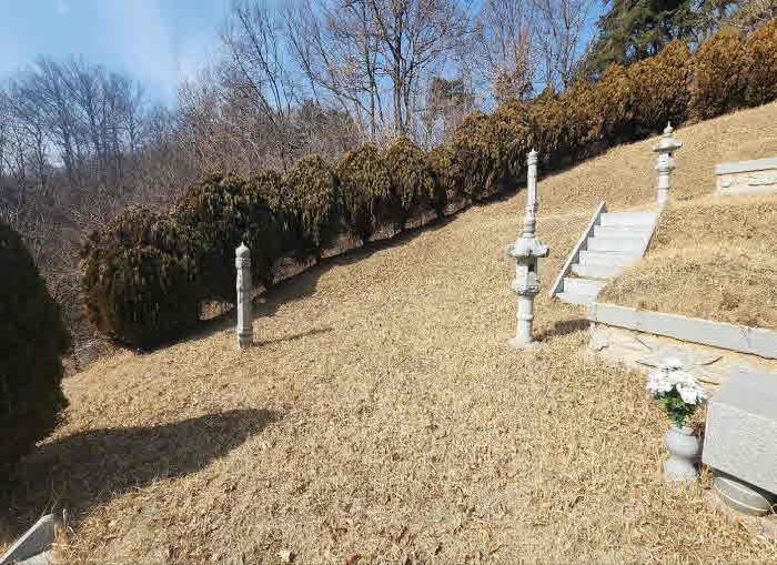 충청북도 옥천군 옥천읍 수북리 174-2 임야 경매 사진 5