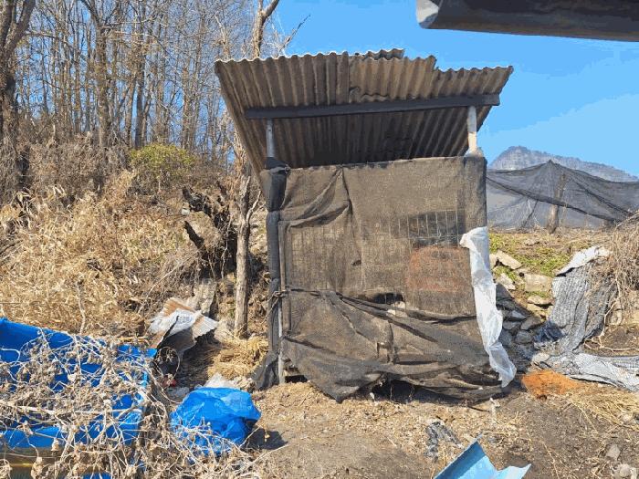 충청북도 옥천군 주택