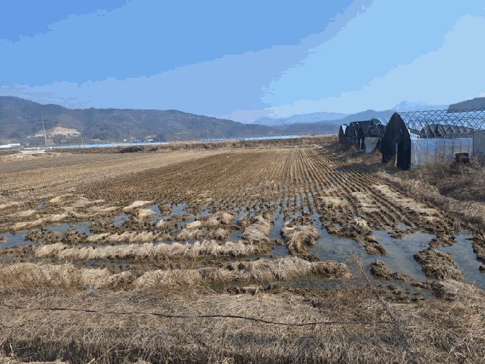 충청북도 옥천군 청산면 백운리 286 주택 경매 사진 2