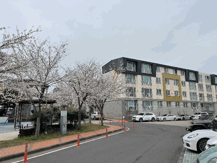 제주특별자치도 서귀포시 대정읍 구억리 1115 해동그린앤골드 111동 1층101호 다세대(빌라) 경매 사진 2
