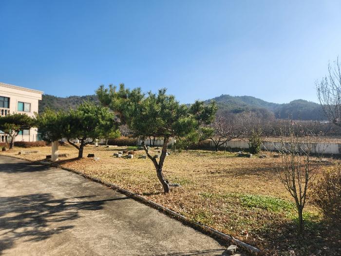 경상북도 상주시 낙동면 물량리 1026-5 주택 경매 사진 3