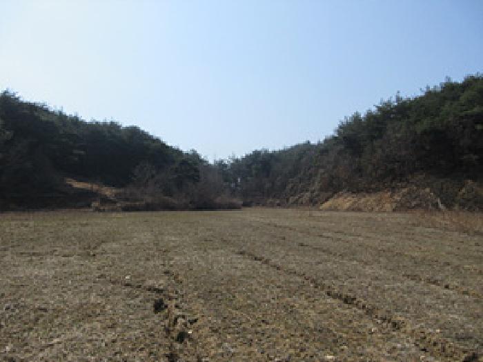 경상북도 예천군 보문면 작곡리 12 임야 경매 사진 11