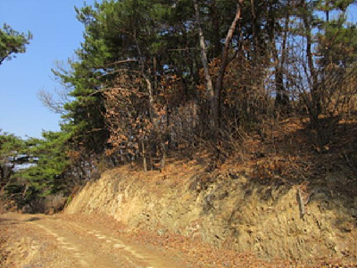 경상북도 예천군 보문면 작곡리 12 임야 경매 사진 19