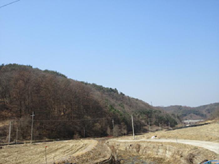 경상북도 예천군 보문면 작곡리 12 임야 경매 사진 22