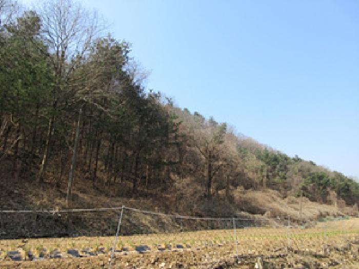 경상북도 예천군 보문면 작곡리 12 임야 경매 사진 23