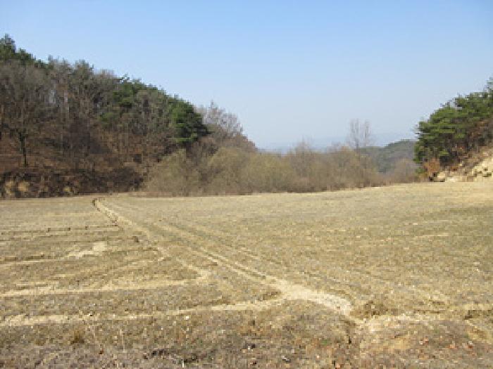 경상북도 예천군 보문면 작곡리 12 임야 경매 사진 6