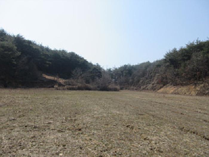 경상북도 예천군 보문면 간방리 774-2 답 경매 사진 12