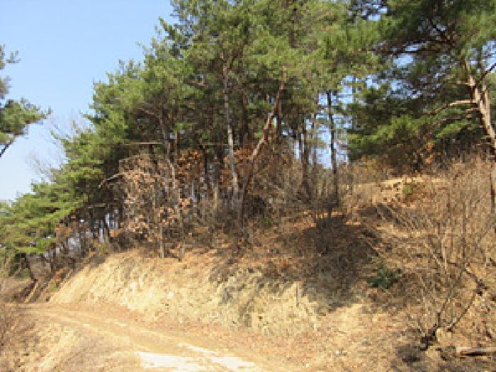 경상북도 예천군 보문면 간방리 774-2 답 경매 사진 17