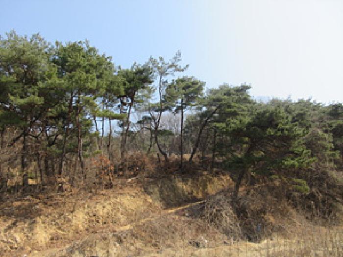 경상북도 예천군 보문면 간방리 774-2 답 경매 사진 20