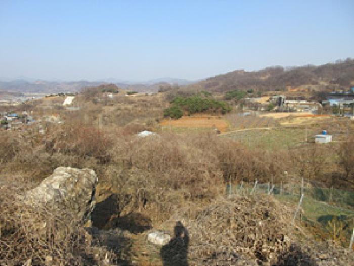 경상북도 문경시 신기동 387-1 전 경매 사진 21