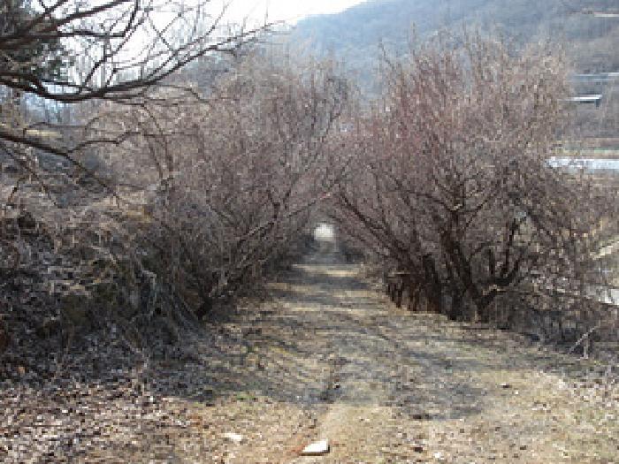 경상북도 문경시 신기동 387-1 전 경매 사진 29
