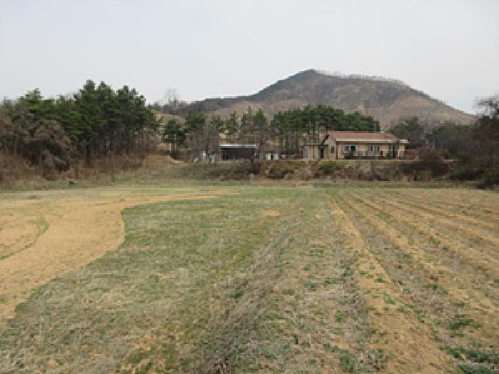 경상북도 예천군 풍양면 낙상리 663-4 전 경매 사진 5