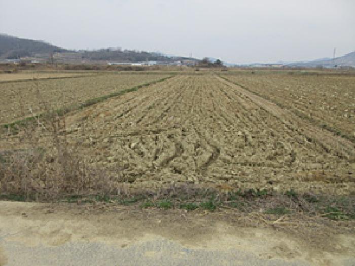 경상북도 예천군 풍양면 고산리 39-1 답 경매 사진 2