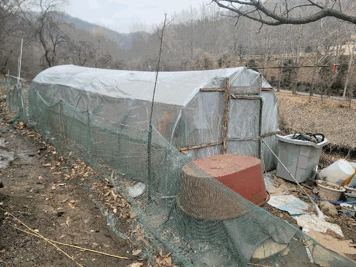 경기도 남양주시 화도읍 묵현리 565-2 전 경매 사진 3