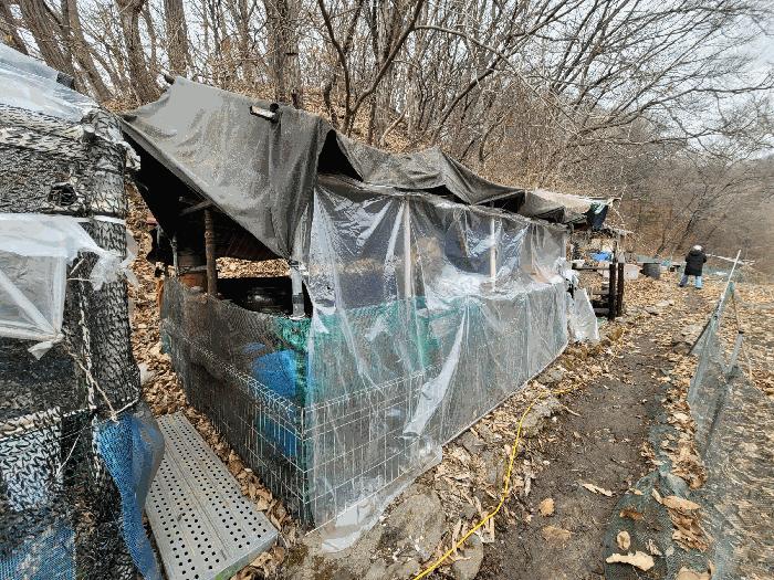 경기도 남양주시 화도읍 묵현리 565-2 전 경매 사진 5
