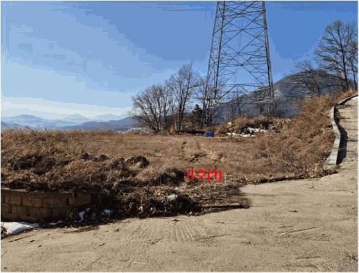 경기도 가평군 청평면 고성리 782-2 임야 경매 사진 2