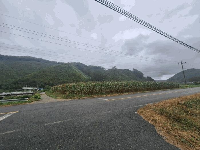 충청북도 청주시 상당구 미원면 중리 산71-13 임야 경매 사진 10