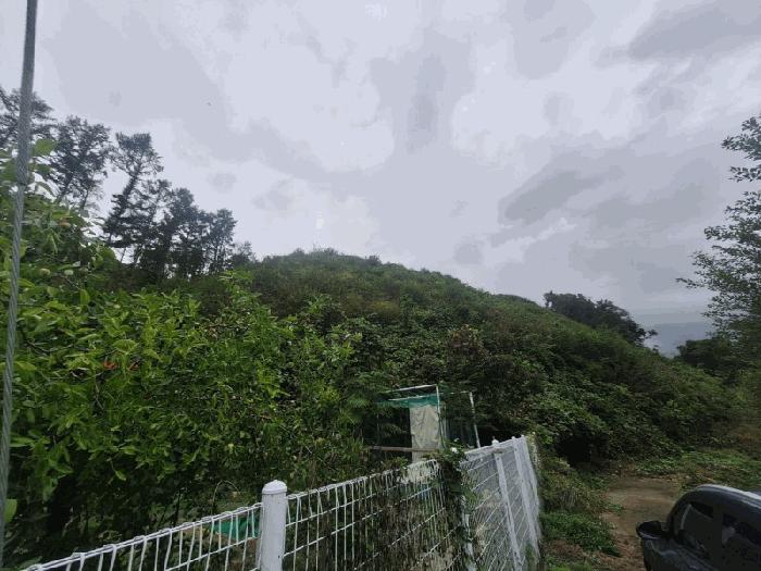 충청북도 청주시 상당구 미원면 중리 산71-13 임야 경매 사진 2
