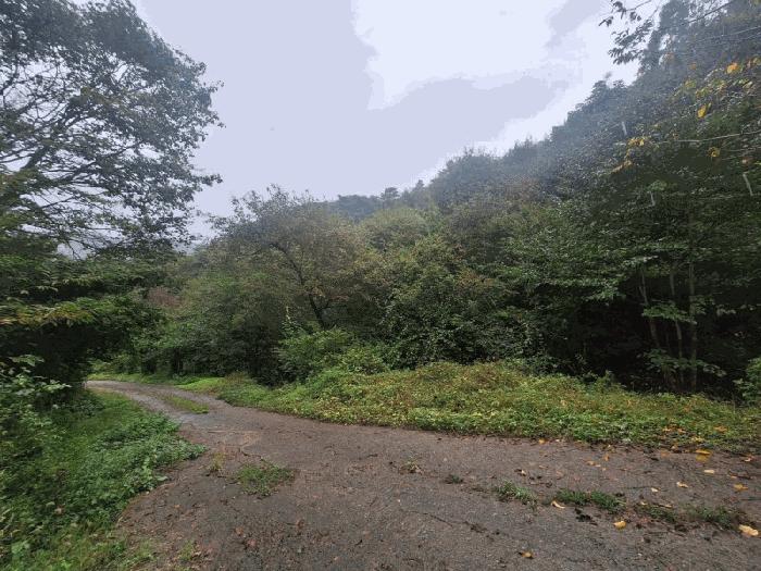 충청북도 청주시 상당구 미원면 중리 산71-13 임야 경매 사진 3