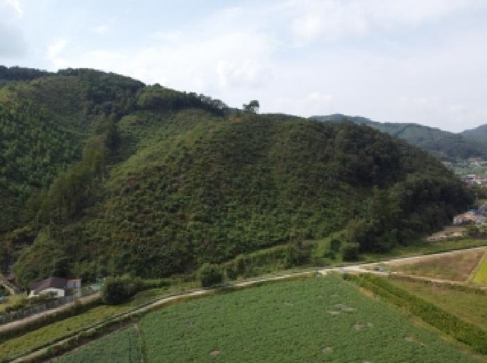 충청북도 청주시 상당구 미원면 중리 산71-13 임야 경매 사진 8