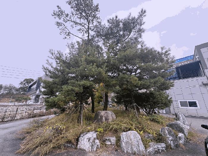충청북도 청주시 흥덕구 석곡동 324-8 공장 경매 사진 11