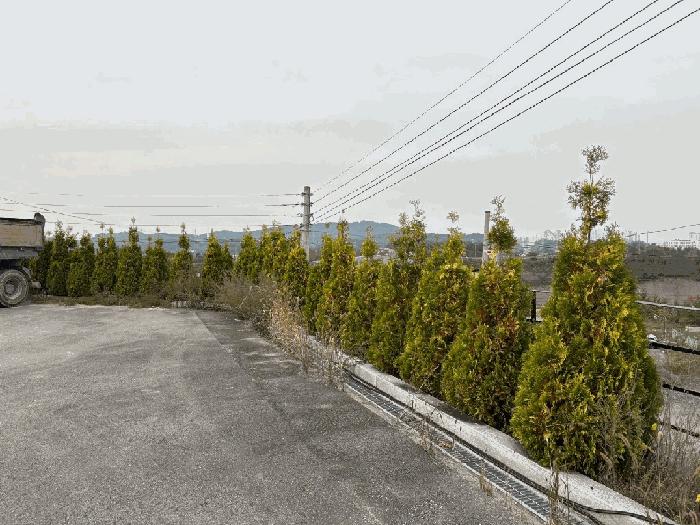 충청북도 청주시 흥덕구 석곡동 324-8 공장 경매 사진 9