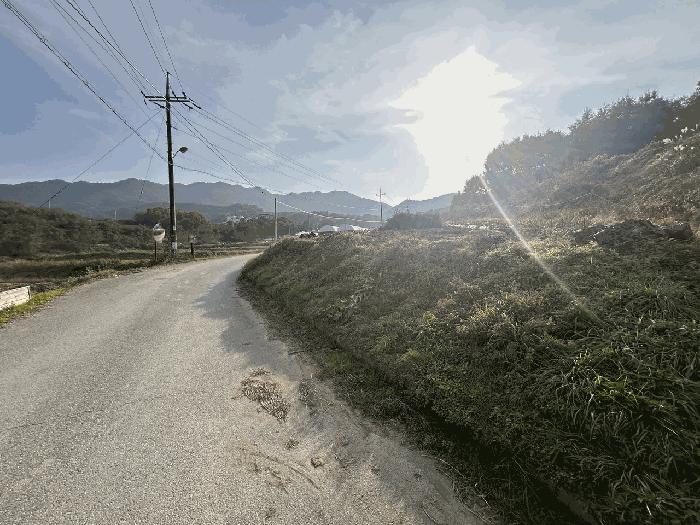 충청북도 괴산군 감물면 오성리 256 전 경매 사진 4