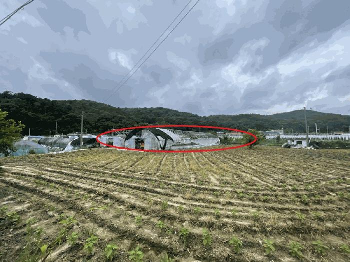 대전광역시 유성구 세동 117 전 경매 사진 1