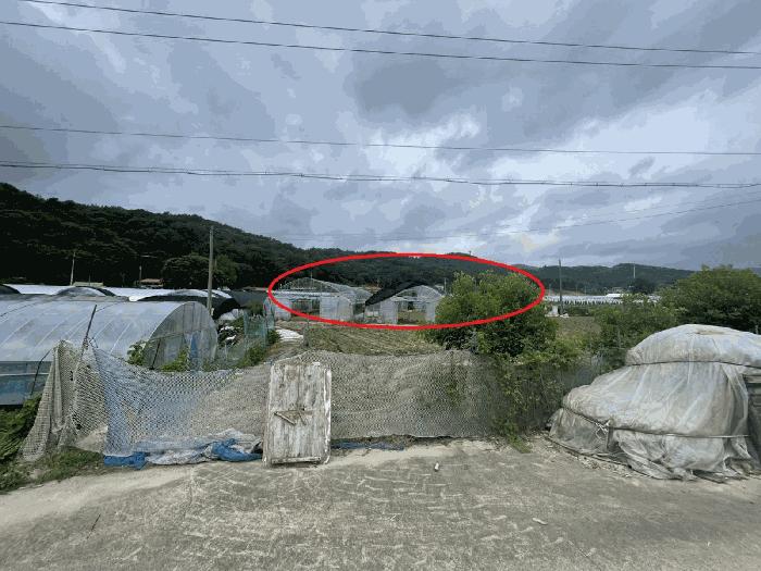 대전광역시 유성구 세동 117 전 경매 사진 2