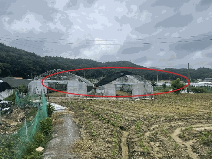 대전광역시 유성구 세동 117 전 경매 사진 4
